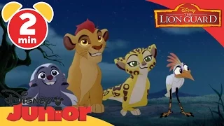 The Lion Guard: Beware the Zimwi (Clip)