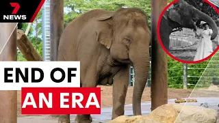 Taronga Zoo farwells some of its most popular residents | 7 News Australia