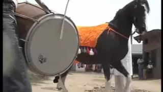 Dancing Horses