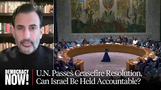 Ex-U.N. Official Craig Mokhiber: Israel Must Be Held Accountable for Violating Ceasefire Resolution