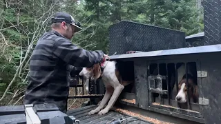 Hound hunting in the PNW Mountains