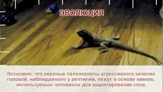 Обмани меня Обещания Путина.flv