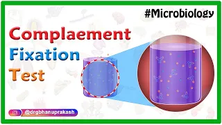 Complement Fixation test - Microbiology animations