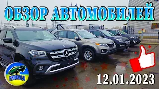 Авторынок по ул. Спорто, г. Мариямполе. Обзор автомобилей. #авто #пригонавто #автоизевропы