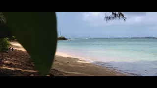 iPhone X 4K Cinematic Video Footage (Kauai)
