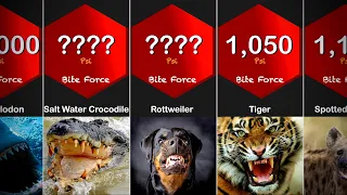 Strongest Animal Bite Force Comparison | Living and Extinct