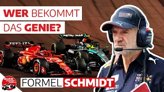 Adrian Newey wirft bei Red Bull hin | Formel Schmidt 2024