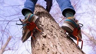 This Tool Makes Tree Climbing Effortless!
