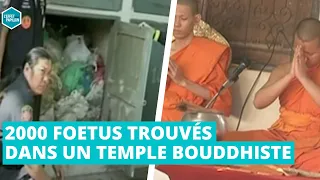 2000 FOETUS TROUVÉS DANS UN TEMPLE BOUDDHISTE (Thailande) - L'Effet Papillon