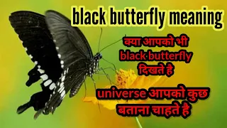 black butterfly meaning | spiritual meaning of black butterflies | law of attraction #butterflies