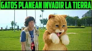 GATOS PLANEAN INVADIR LA TIERRA - MEOW - RESUMEN EN 14 minutos