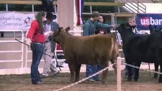 The Ride with Cord McCoy: National Western Stock Show 2014