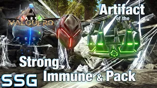 ARK Valguero How to get the Artifact of the Strong Immune & Pack SEESHELLGAMING