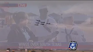 Wings Over South Texas Air Show