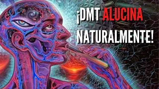 ▶ DMT natural Música para AUTODROGARSE y activar la glándula pineal🤯 ACTIVAR TERCER OJO AL DORMIR