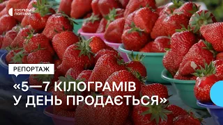 Полуниця на ринку в Полтаві: як обрати та як перевіряють