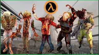 All 22 ZOMBIES from Half-Life Universe (Half Life 1, OF, BS, 2, Ep 1-2, Half-Life Alyx)