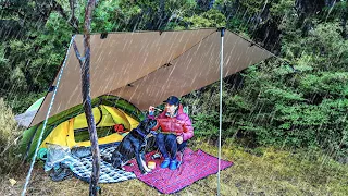 Wild Heavy RAIN Camping with my Dog, right after a Storm