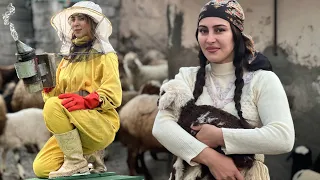 Daily life in the village and Iranian-style breakfast with organic dairy products!