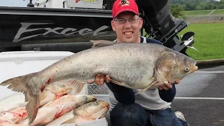 Fishing for Asian carp - How to catch bighead carp. Cooking silver carp.