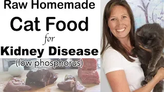 Homemade Cat Food for Kidney Disease Diet (raw, easy, inexpensive)