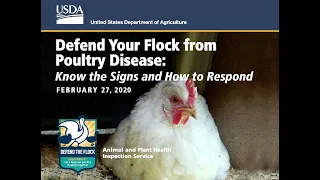 Defend The Flock Webinar February 2020