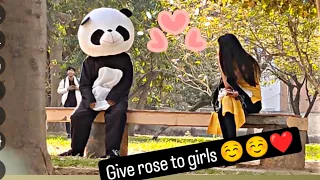 give rose to girls ☺️☺️☺️ | special for valentine week