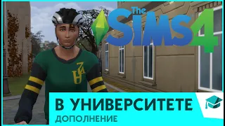 🎓🎓🎓 THE SIMS 4 "В УНИВЕРСИТЕТЕ"  ОБЗОР 🎓🎓🎓