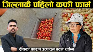 जिल्लाकै पहिलो कफी फार्मको वास्तविक कथा - Coffee farming