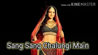 Sang sang chalungi main full song | Divya Shakti movie song | Ajay Devgan, Raveena , sadhna sargam