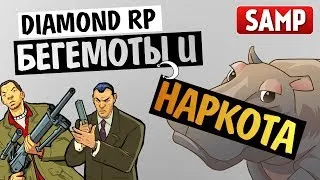 DIAMOND RP - Бегемоты и Китайская Дурь! (Алекс и Брейн)