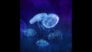 Carbon Based Lifeforms   World Of Sleepers 24 bit 2015 Remaster Full Album | Tonely Universe