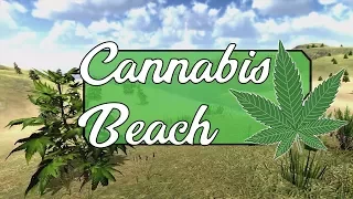 🌴 Phonk & Trap Music Mix Summer 2017 | Cannabis Beach 🌴