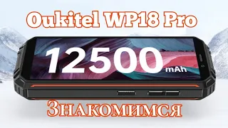 Актуальный "броник" Oukitel WP18 Pro, 12500 mAh, 4/64. Знакомимся!!!