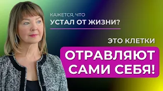 Почему появляется «хроническая усталость»?