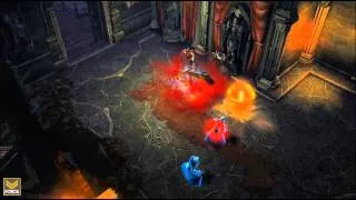 Diablo 3 - Beta Footage - Gameplay