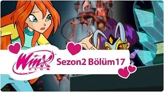 Winx Club - Sezon 2 Bölüm 17 - Cadılar'la İşbirliği