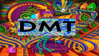 DMT  [КАРТЕЛЬ ЭНЦИКЛОПЕДИЯ]