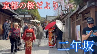 2024年3月30日 京都の桜🌸だより 桜が咲き賑わう二年坂を歩く Walking along Ninenzaka,Kyoto 【4K】
