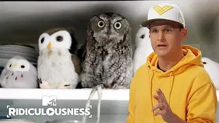 What Pops Into Your Head When You Say Weird Bird? | Ridiculousness