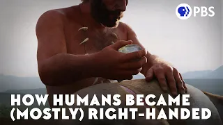 How Humans Became (Mostly) Right-Handed