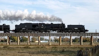 Australian Beyer-Garratt 6029 - 2015 Wagga Wagga Shuttles (Day 2)