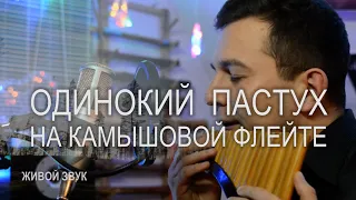 Одинокий Пастух на самодельной камышовой флейте Исполняет Андрей Щебуняев