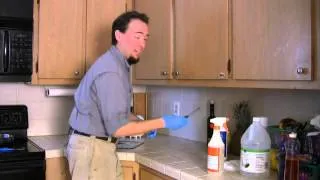 How to Rid a House of Roaches & Eggs