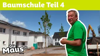 Wie verpflanzt man die Bäume? | Die Maus | WDR