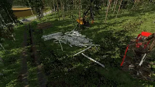 FS22 | Forestry on Karhuvaara | too much birch | EP08 S1