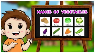 Name of vegitable  | Different Types Of Vegetables | Dstar kids