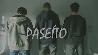 PASEITO (Pregón 2001)