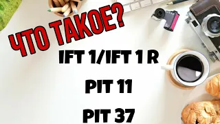 Как различить питы в Польше. Что такое ift 1/ift 1 r, pit 11 и pit 37 (jak odróżnić pitas w Polsce)