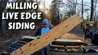 MASSIVE LIVE EDGE SIDING | tiny house | | cabin build | tractor work | homesteading | sawmill | DIY